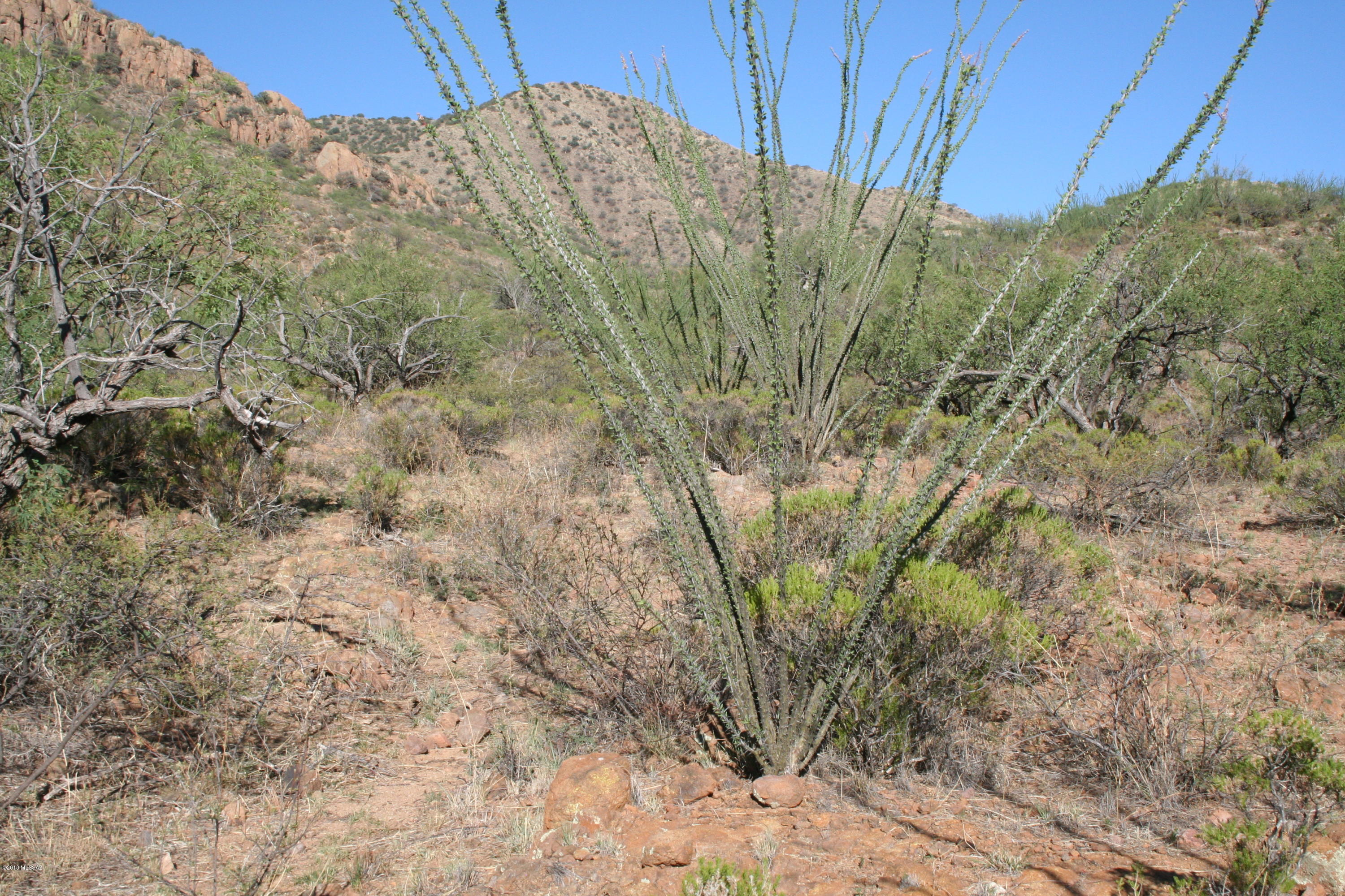 37 Copper Canyon Road, Unit 140 Rio Rico, AZ 85648 - Photo 17 of 17 IMG_9489