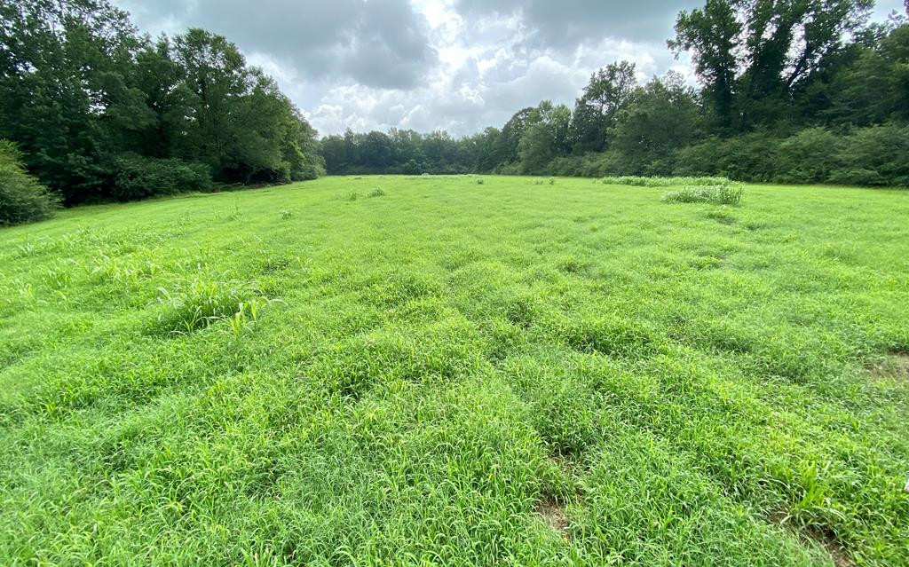 133 Anse Everett Road Magee, MS 39111 - Photo 1 of 26 Main View