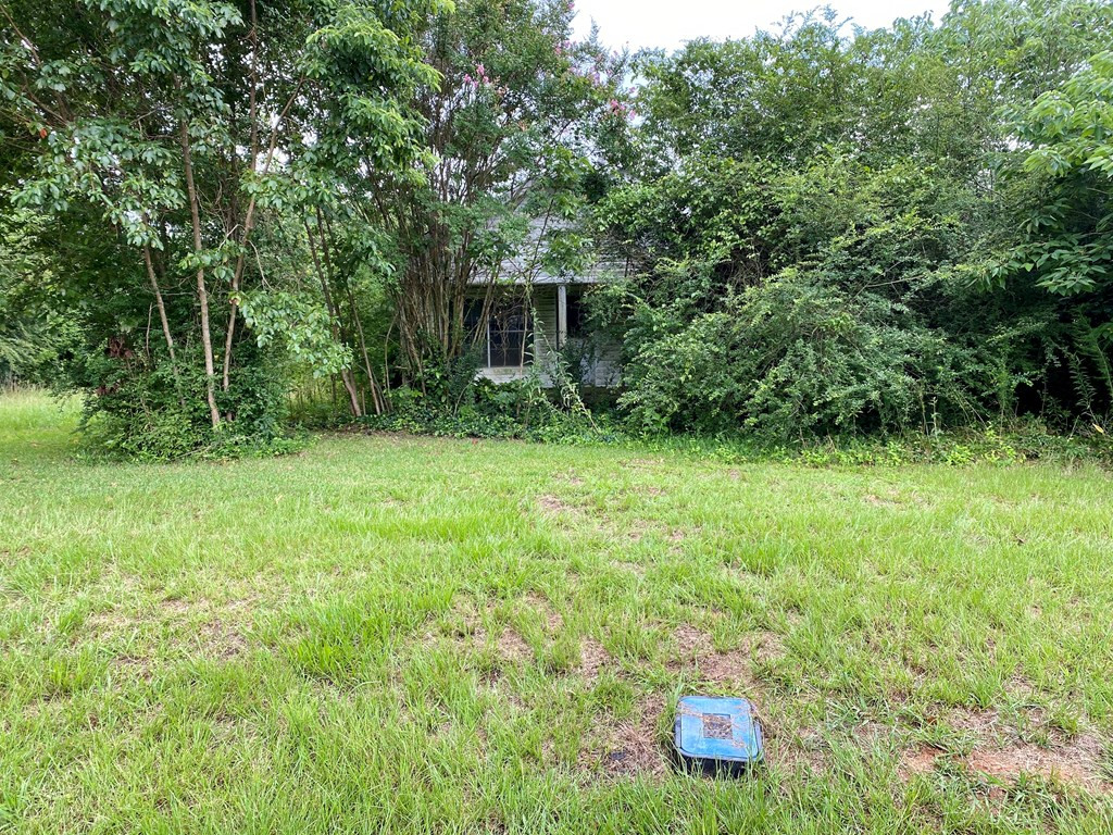 133 Anse Everett Road Magee, MS 39111 - Photo 11 of 26 Photo 11