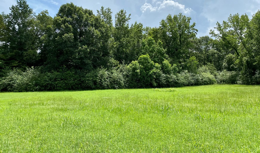 133 Anse Everett Road Magee, MS 39111 - Photo 21 of 26 Photo 21