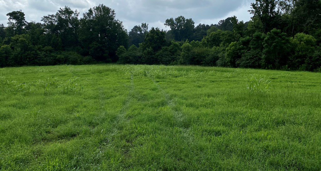 133 Anse Everett Road Magee, MS 39111 - Photo 3 of 26 Photo 3