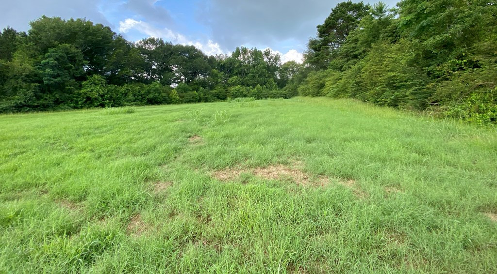 133 Anse Everett Road Magee, MS 39111 - Photo 4 of 26 Photo 4
