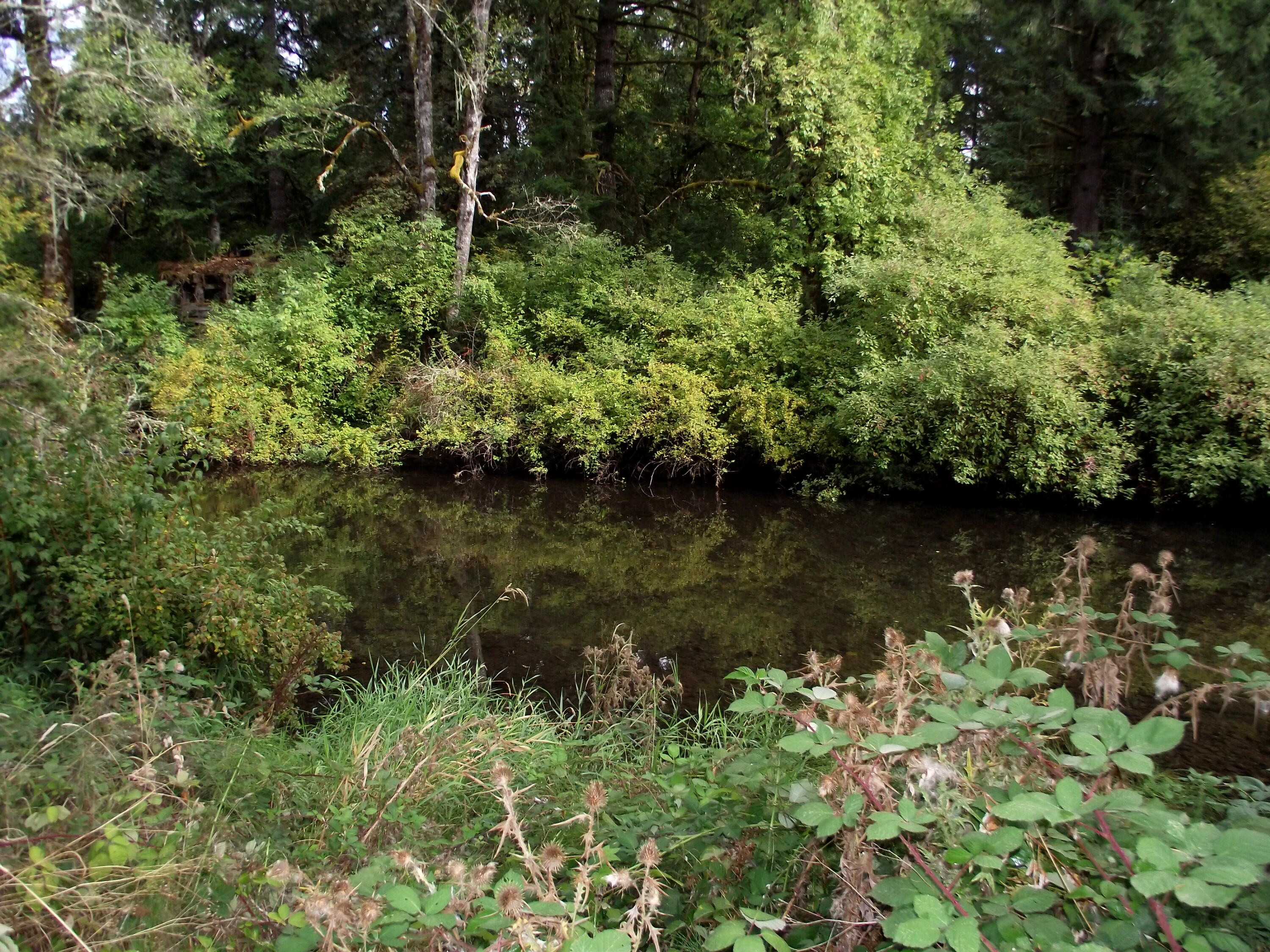 Mohawk River back yard access