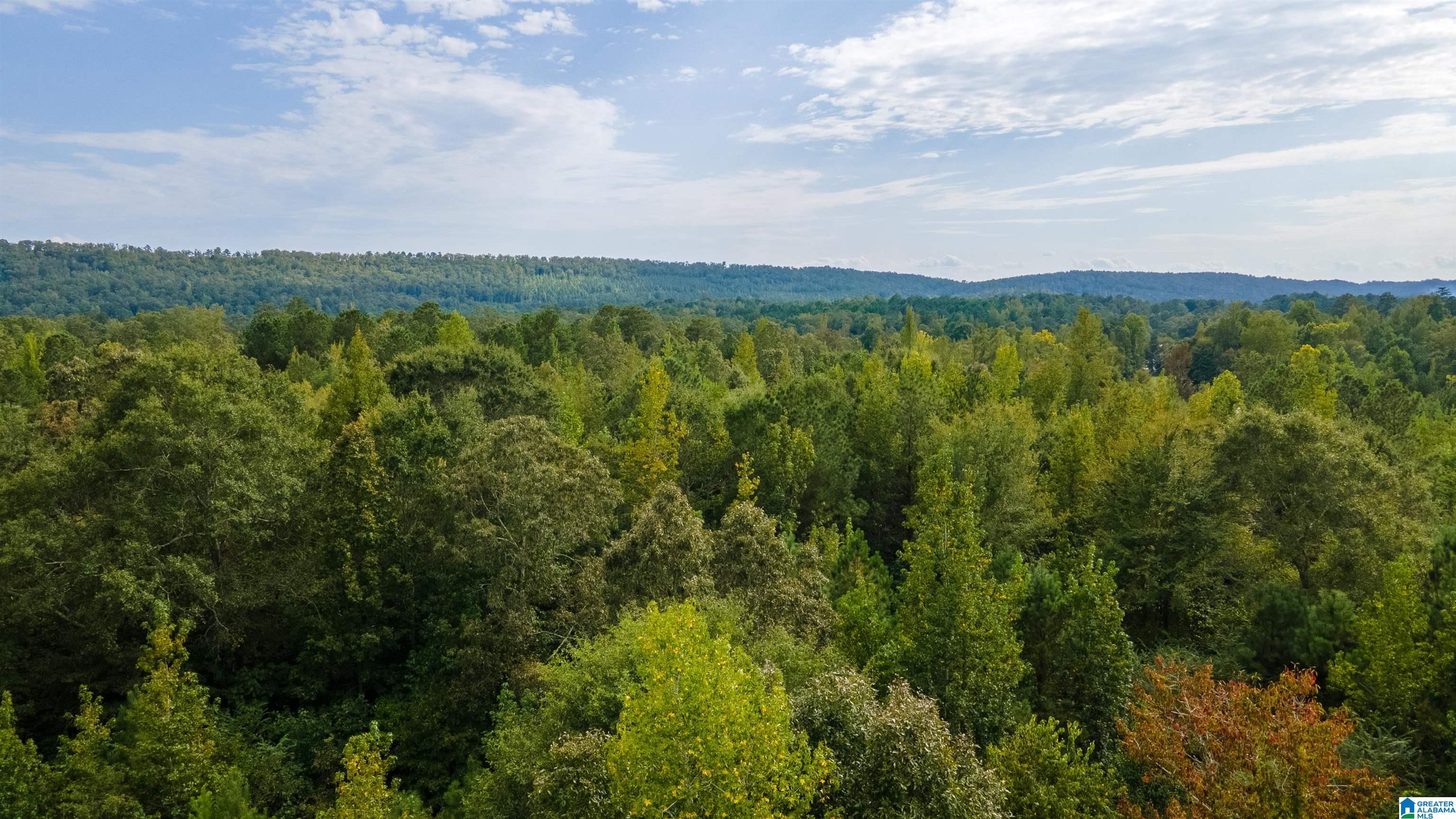 10675 Shoal Creek Road, Unit X Ashville, AL 35953 - Photo 15 of 19