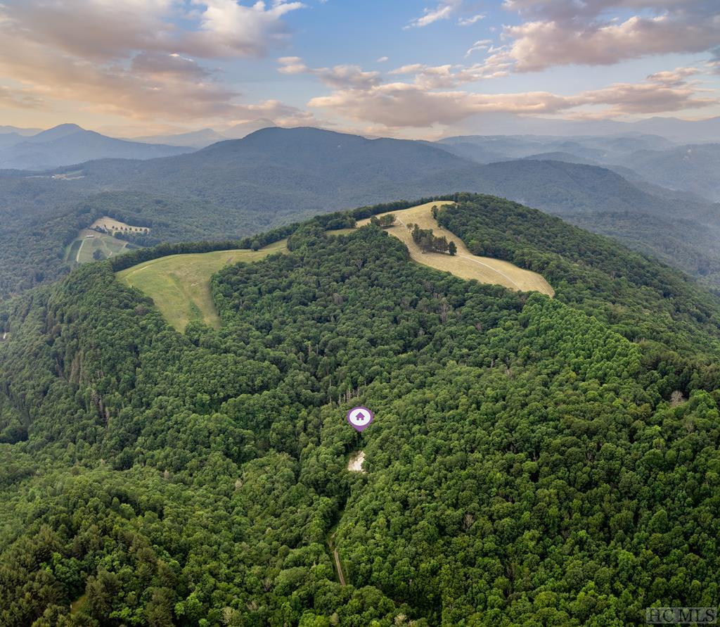 Tbd Fowler Road Glenville, NC 28736 - Photo 1 of 14 Gallery Image 1