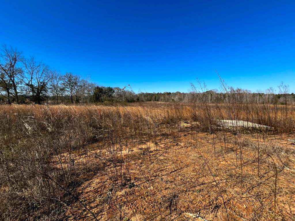 2776 New Hinson Road Slocomb, AL 36375 - Photo 10 of 12