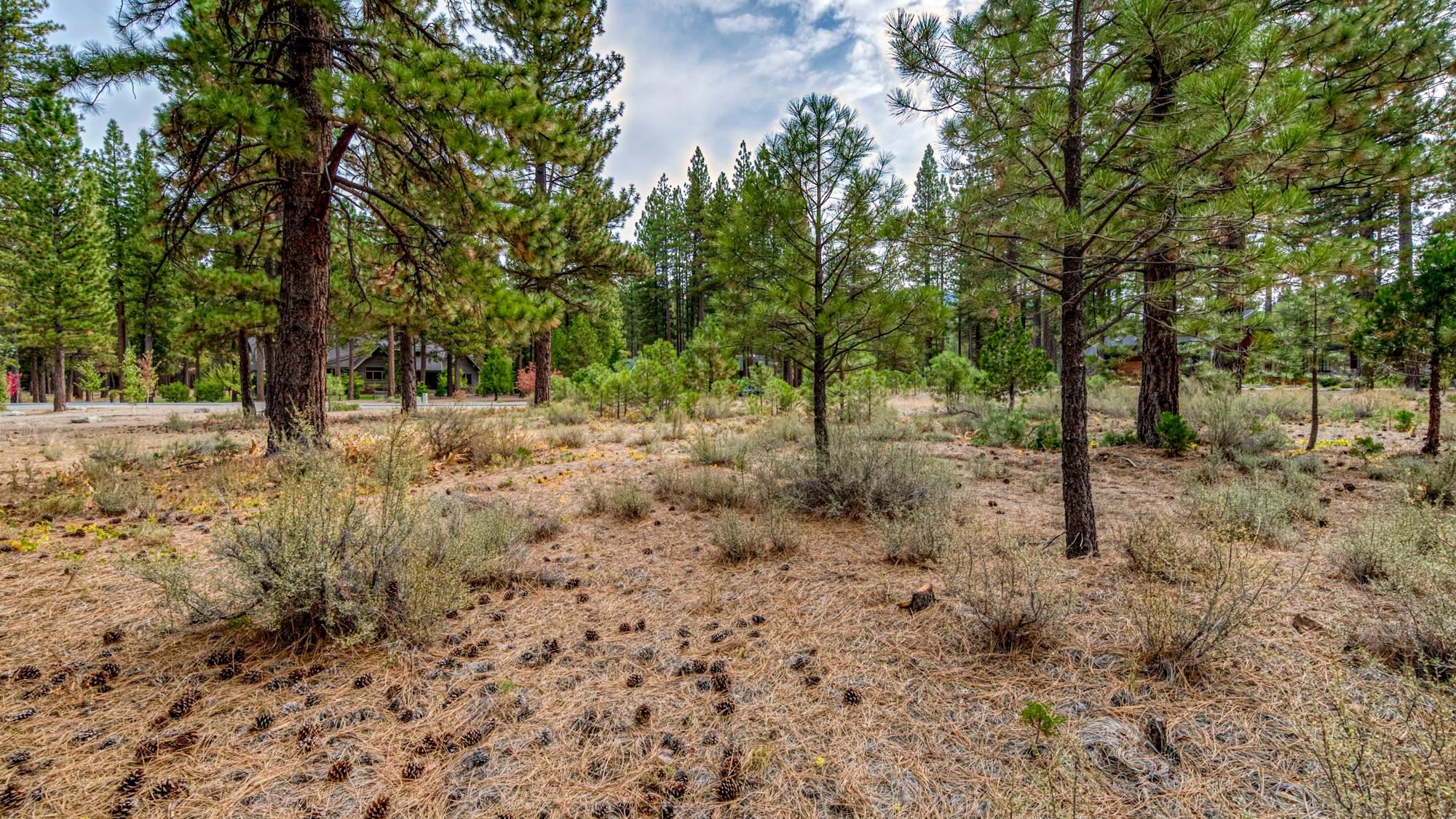 503 Redtail Loop Road Clio, CA 96106 - Photo 34 of 38 Gallery Image 34