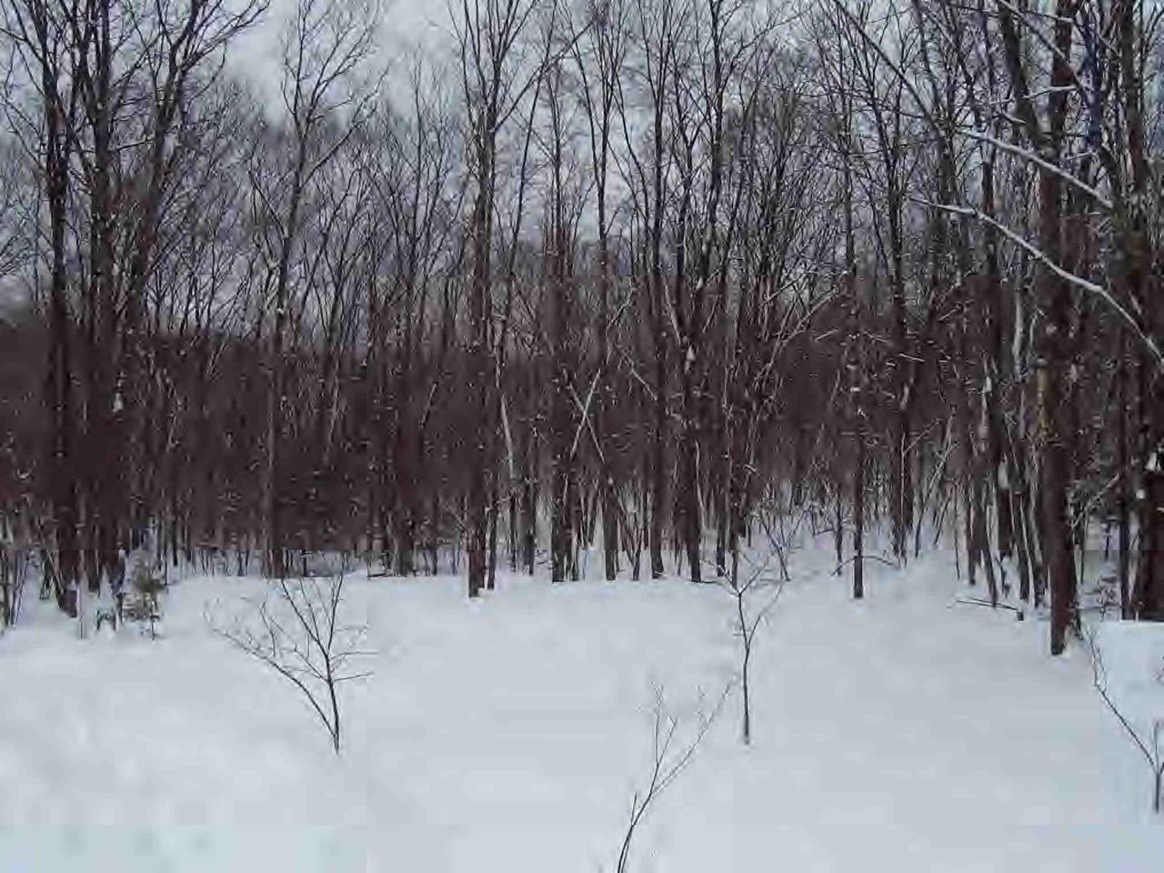 12 Olneys Road Petersburg, NY 12138 - Photo 5 of 6 Additional Photo