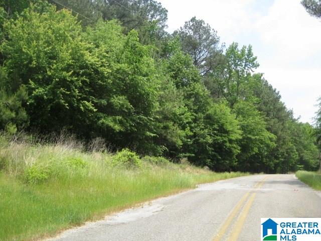 0 Sulphur Springs Road, Unit 10 ACRES Lincoln, AL 35096 - Photo 9 of 32