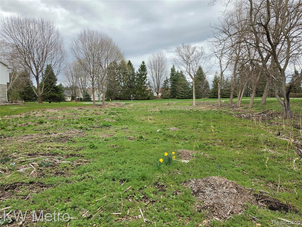 28 Mile Road Washington, MI 48094 - Photo 6 of 8