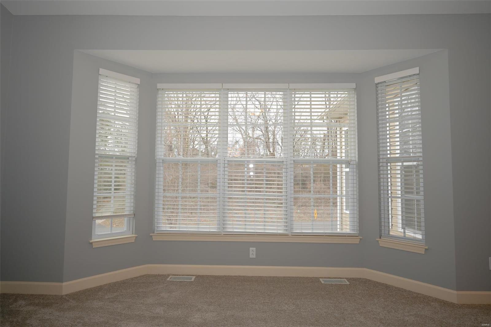 115 Briar Ridge Maryville, IL 62062 - Photo 6 of 38 Gallery Image 6