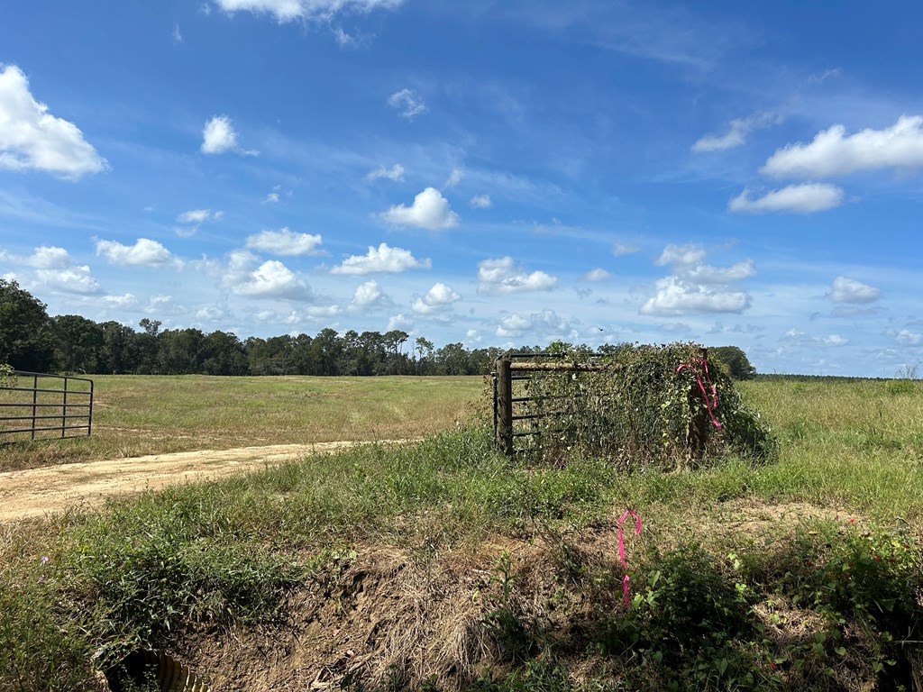 20.33-ac Sewell Road Dothan, AL 36301 - Photo 2 of 36