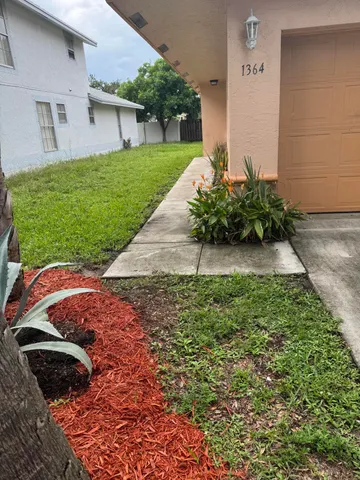 a view of a backyard with potted plants and large trees