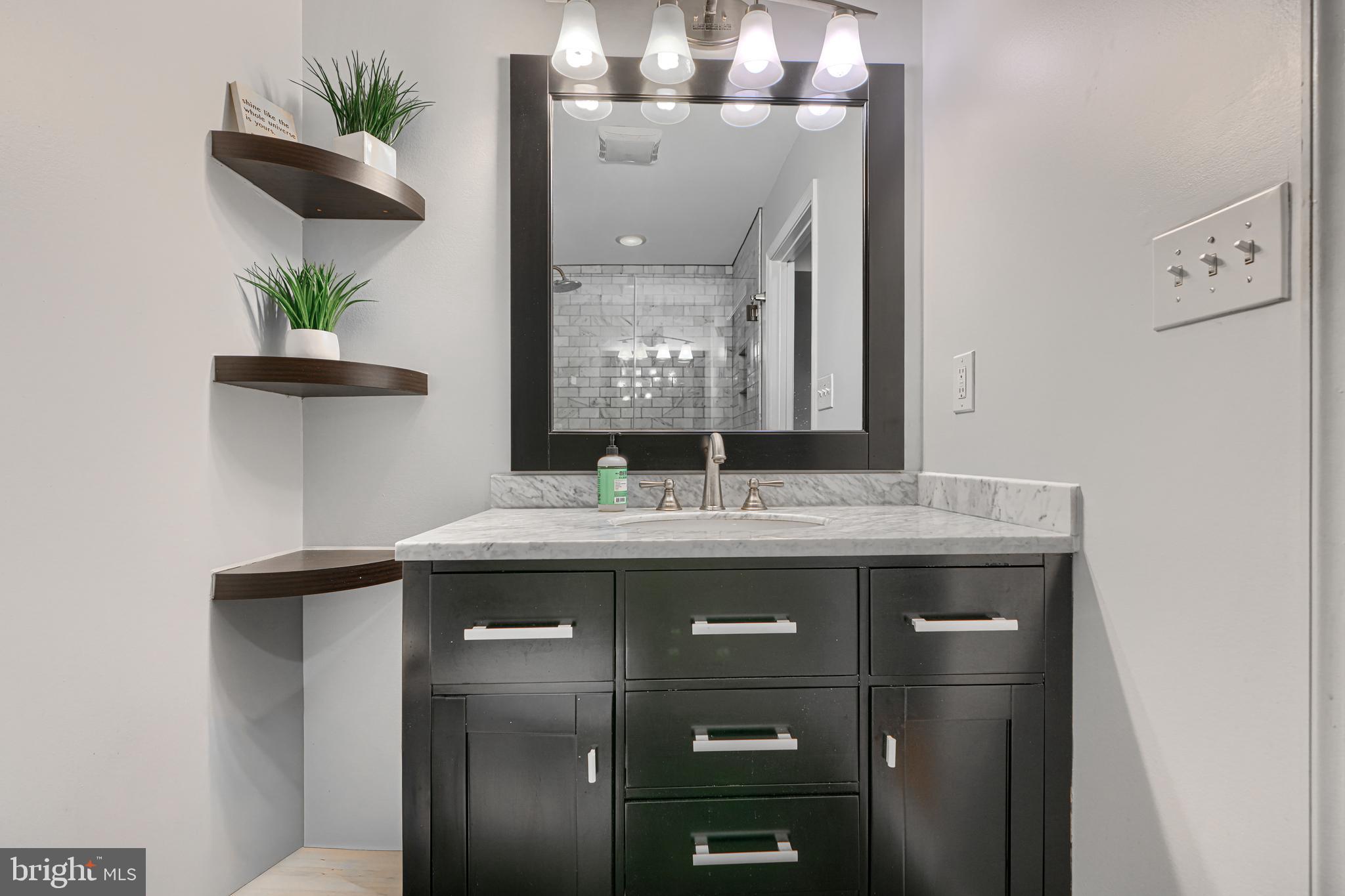 624 Jasper Street Baltimore, MD 21201 - Photo 23 of 24 a bathroom with a granite countertop sink a mirror and a potted plant