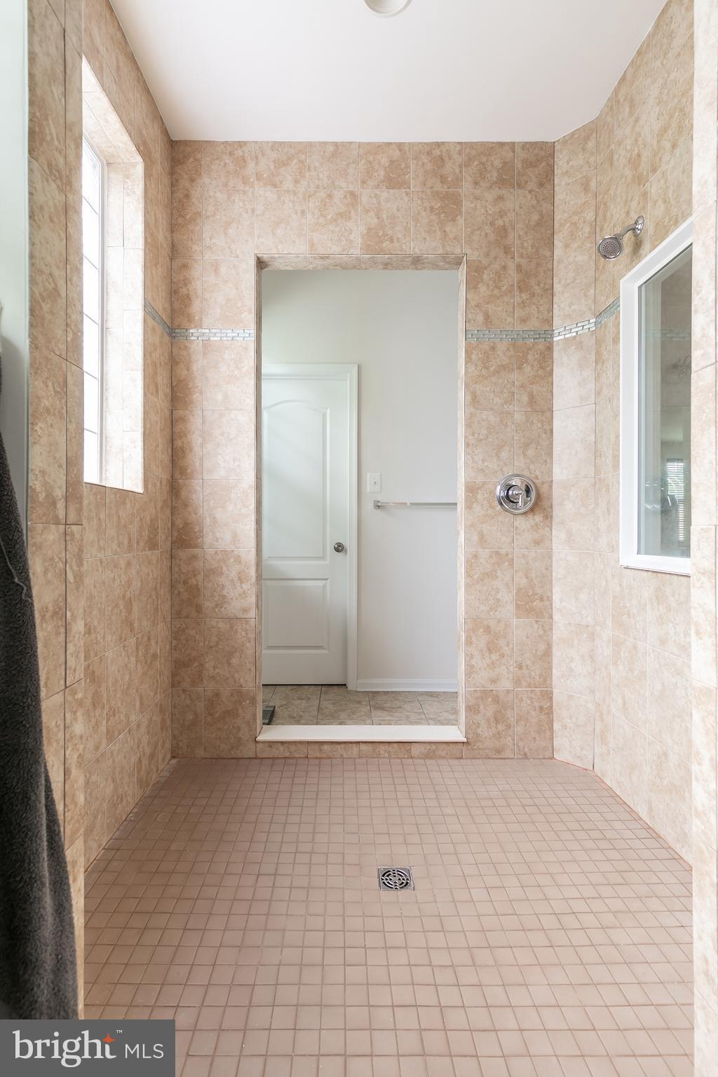 7036 Sand Cherry Way Clinton, MD 20735 - Photo 19 of 30 MASTER BATH W/ WALK THROUGH ROMAN SHOWER