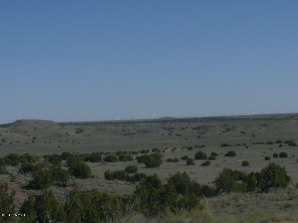 9 B Freeman Holw Road Snowflake, AZ 85937 - Photo 1 of 13
