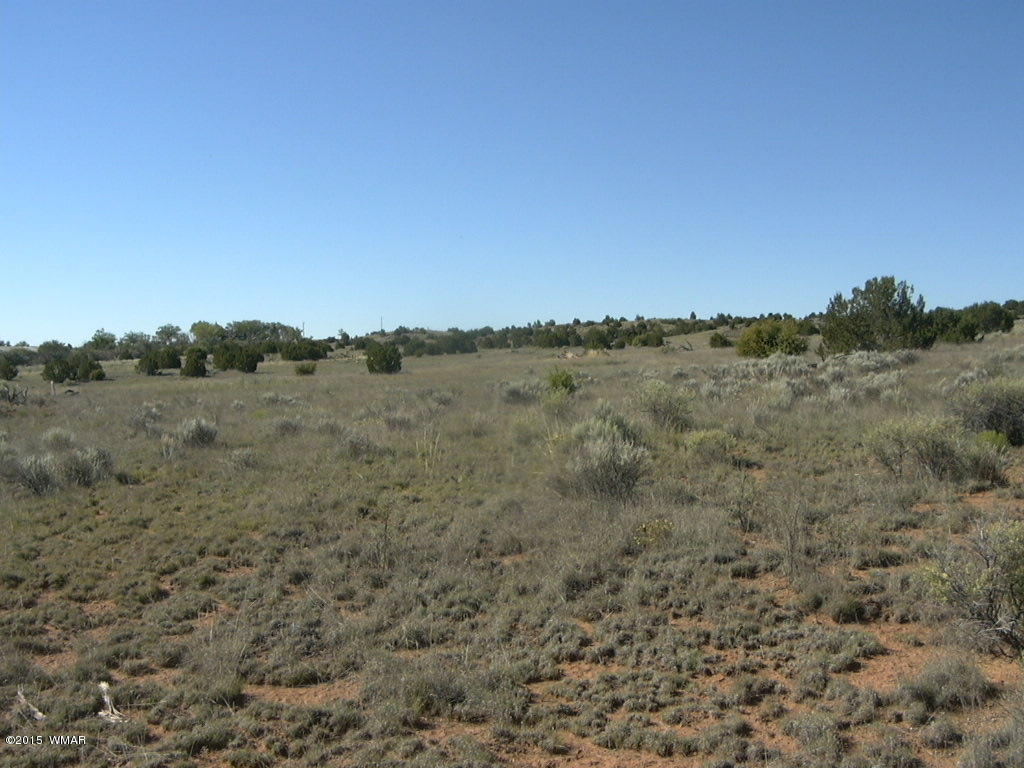 9 B Freeman Holw Road Snowflake, AZ 85937 - Photo 11 of 13
