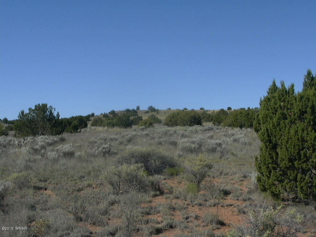 9 B Freeman Holw Road Snowflake, AZ 85937 - Photo 12 of 13