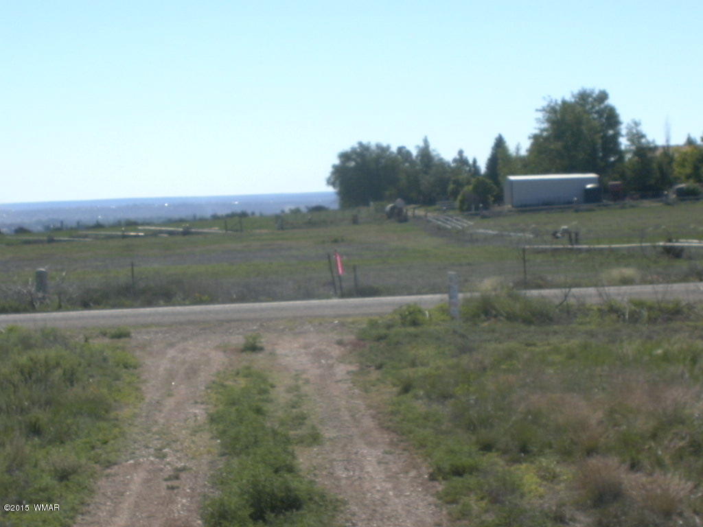9 B Freeman Holw Road Snowflake, AZ 85937 - Photo 13 of 13
