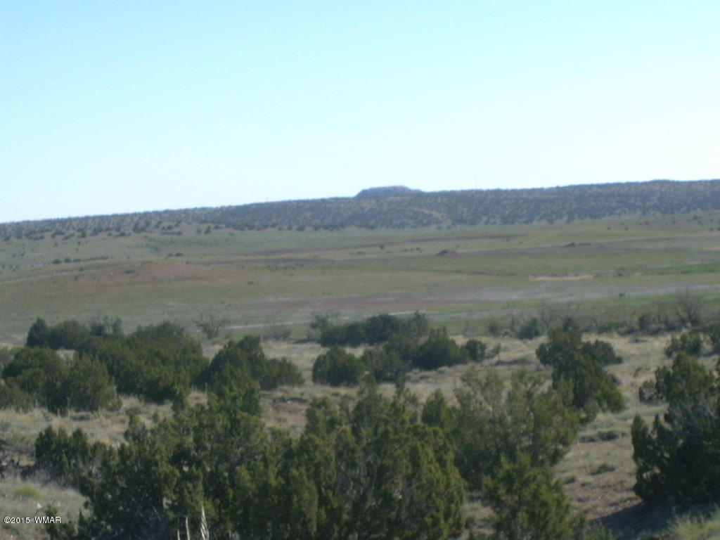 9 B Freeman Holw Road Snowflake, AZ 85937 - Photo 2 of 13