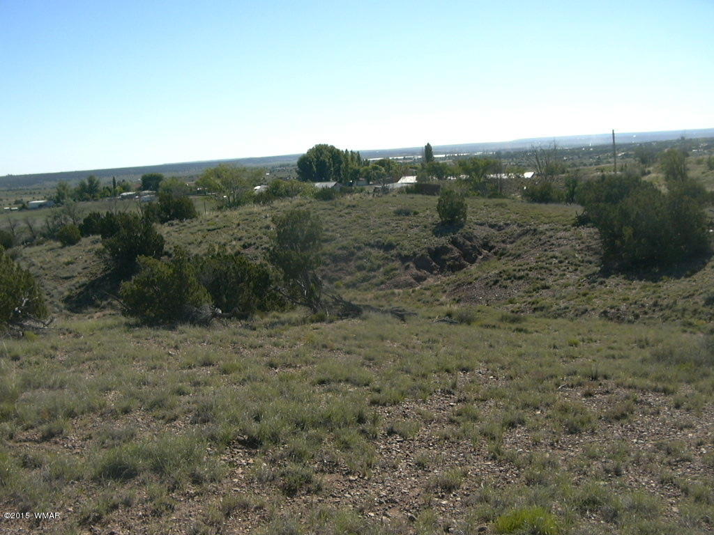 9 B Freeman Holw Road Snowflake, AZ 85937 - Photo 3 of 13