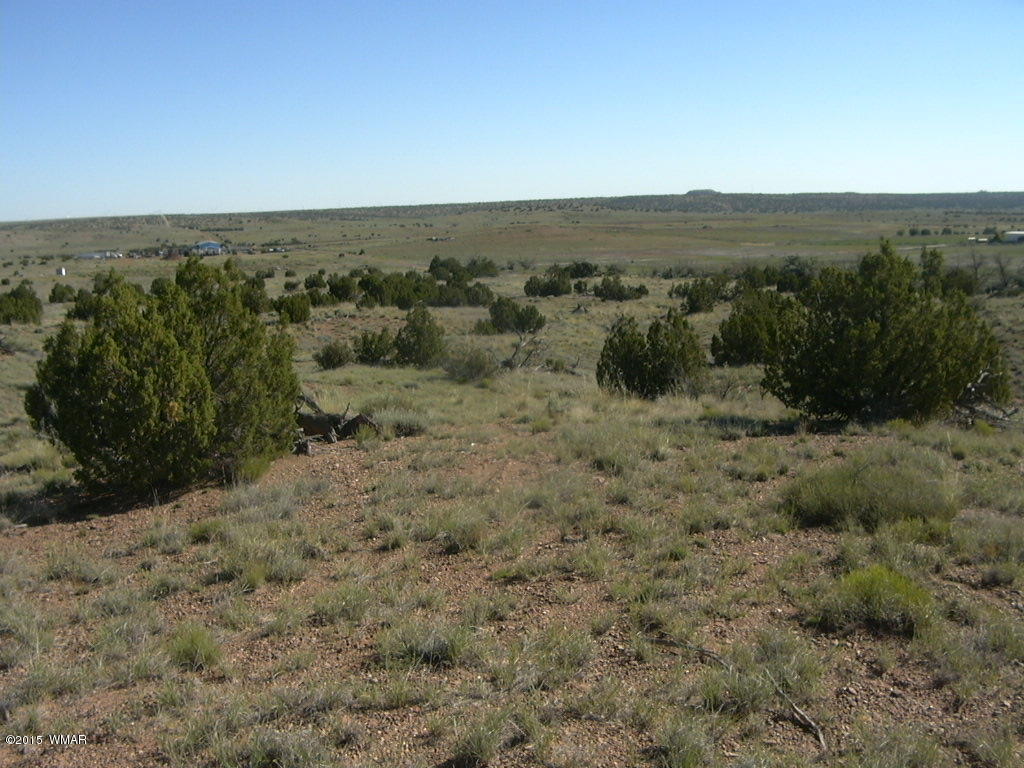 9 B Freeman Holw Road Snowflake, AZ 85937 - Photo 4 of 13