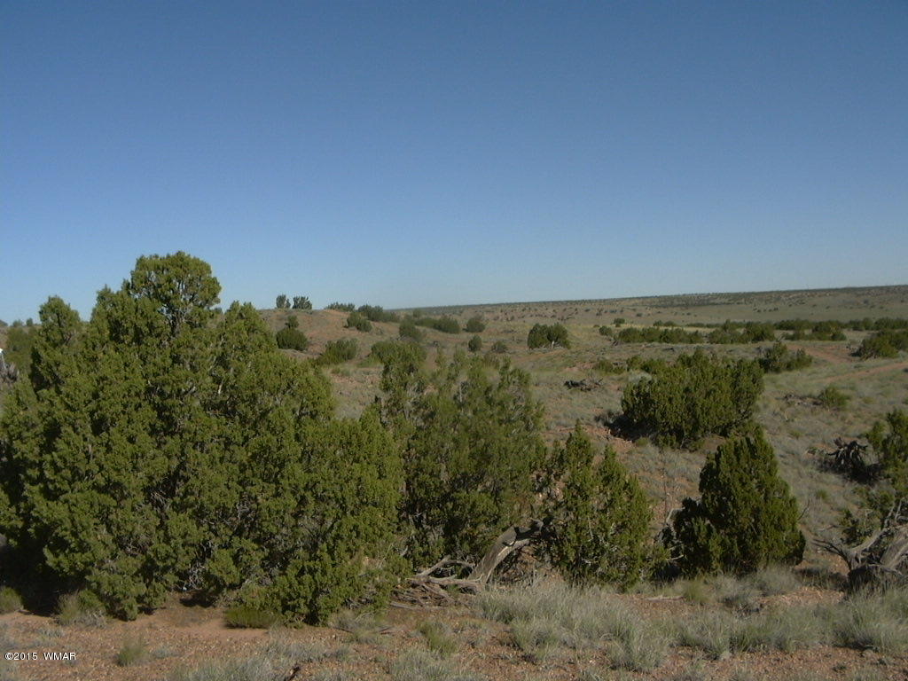 9 B Freeman Holw Road Snowflake, AZ 85937 - Photo 5 of 13
