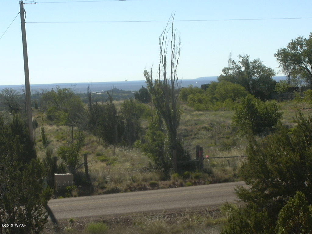 9 B Freeman Holw Road Snowflake, AZ 85937 - Photo 6 of 13