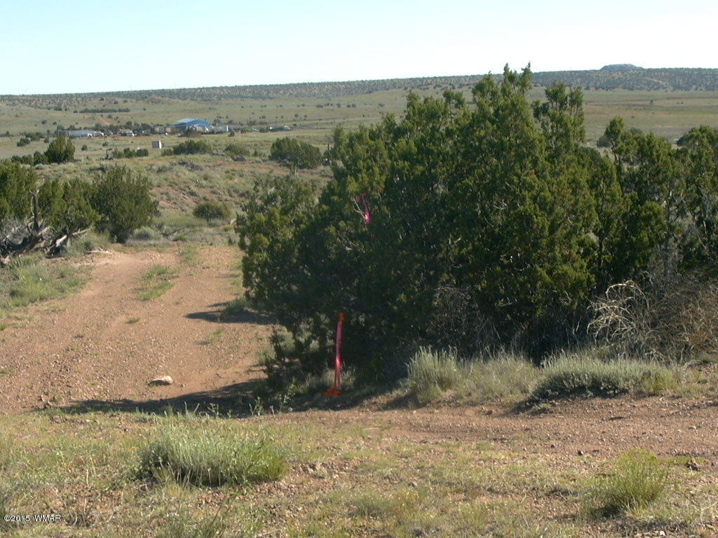 9 B Freeman Holw Road Snowflake, AZ 85937 - Photo 7 of 13