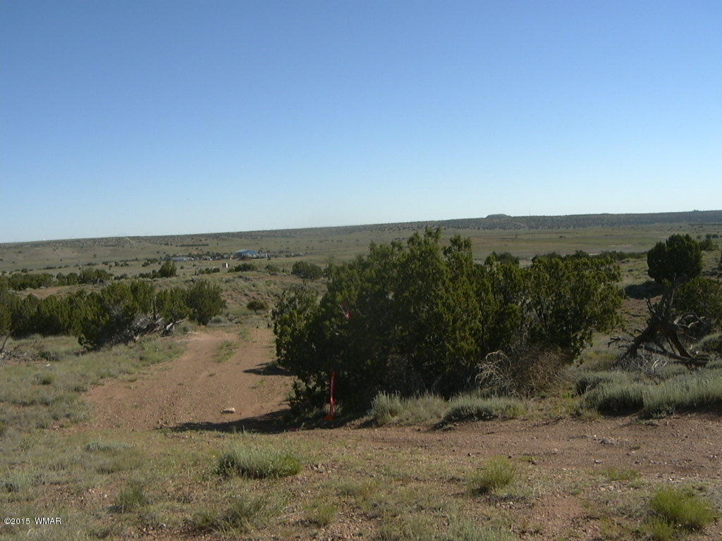 9 B Freeman Holw Road Snowflake, AZ 85937 - Photo 8 of 13