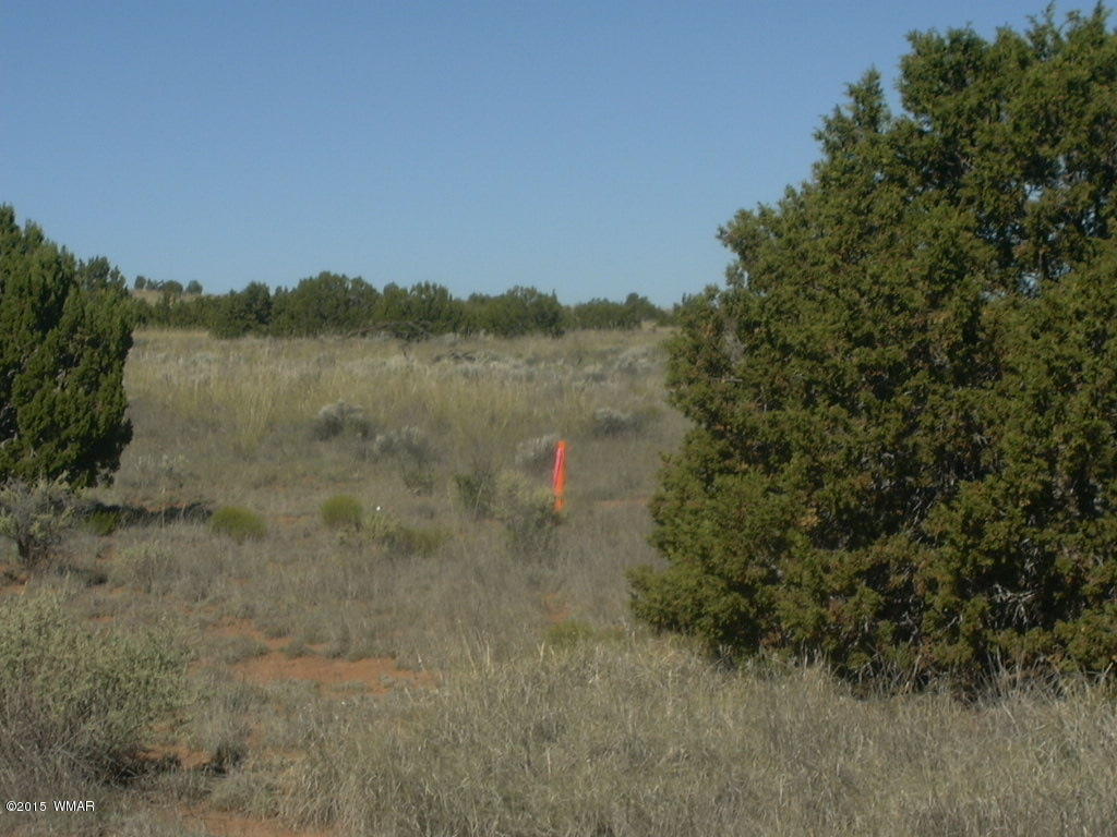 9 B Freeman Holw Road Snowflake, AZ 85937 - Photo 9 of 13