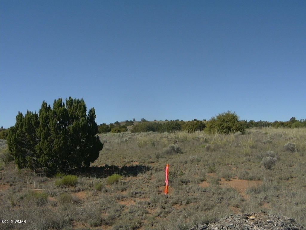 9 B Freeman Holw Road Snowflake, AZ 85937 - Photo 10 of 13