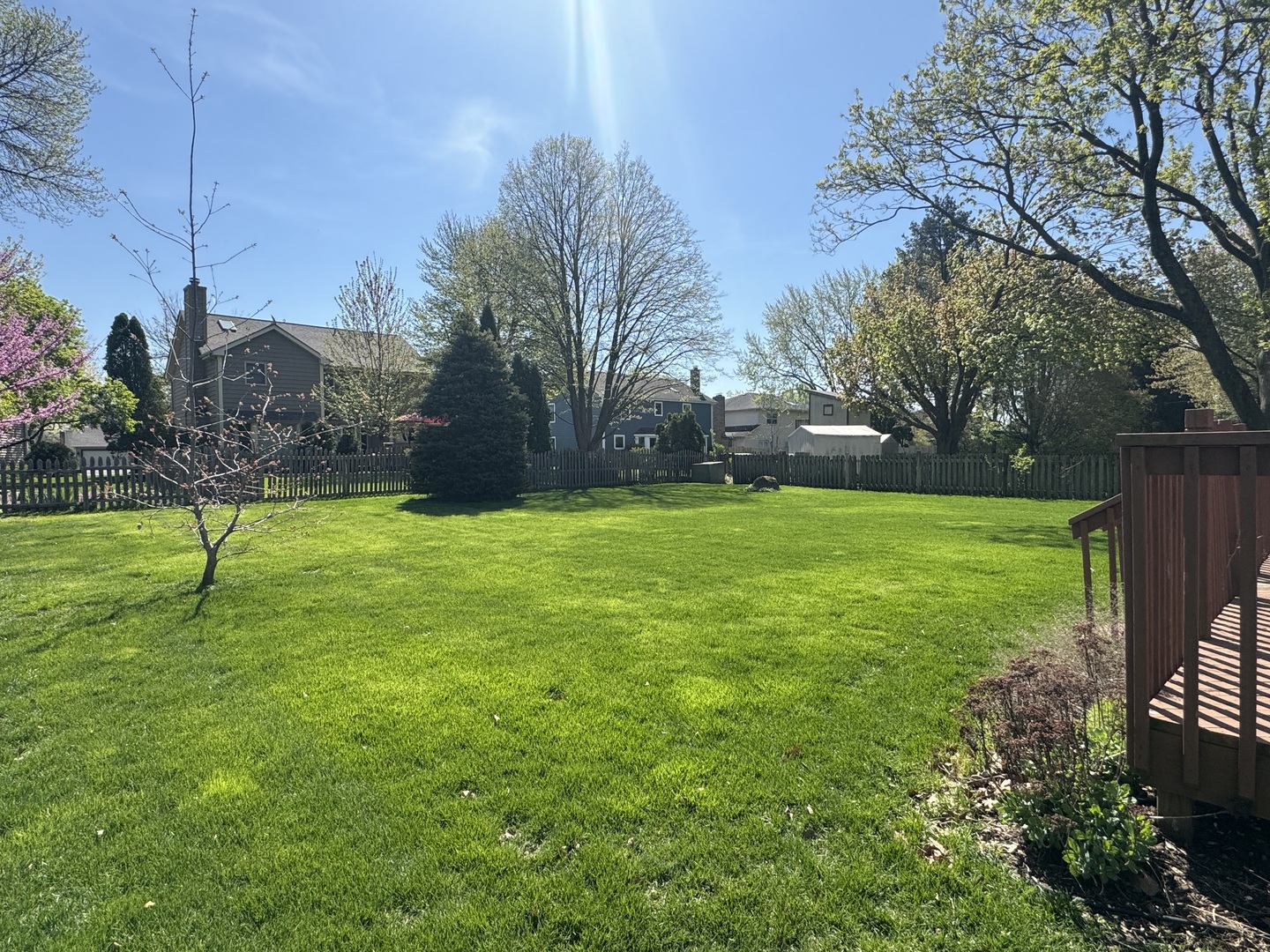 1840 Fairoak Road Naperville, IL 60565 - Photo 10 of 10 a view of a park with large trees