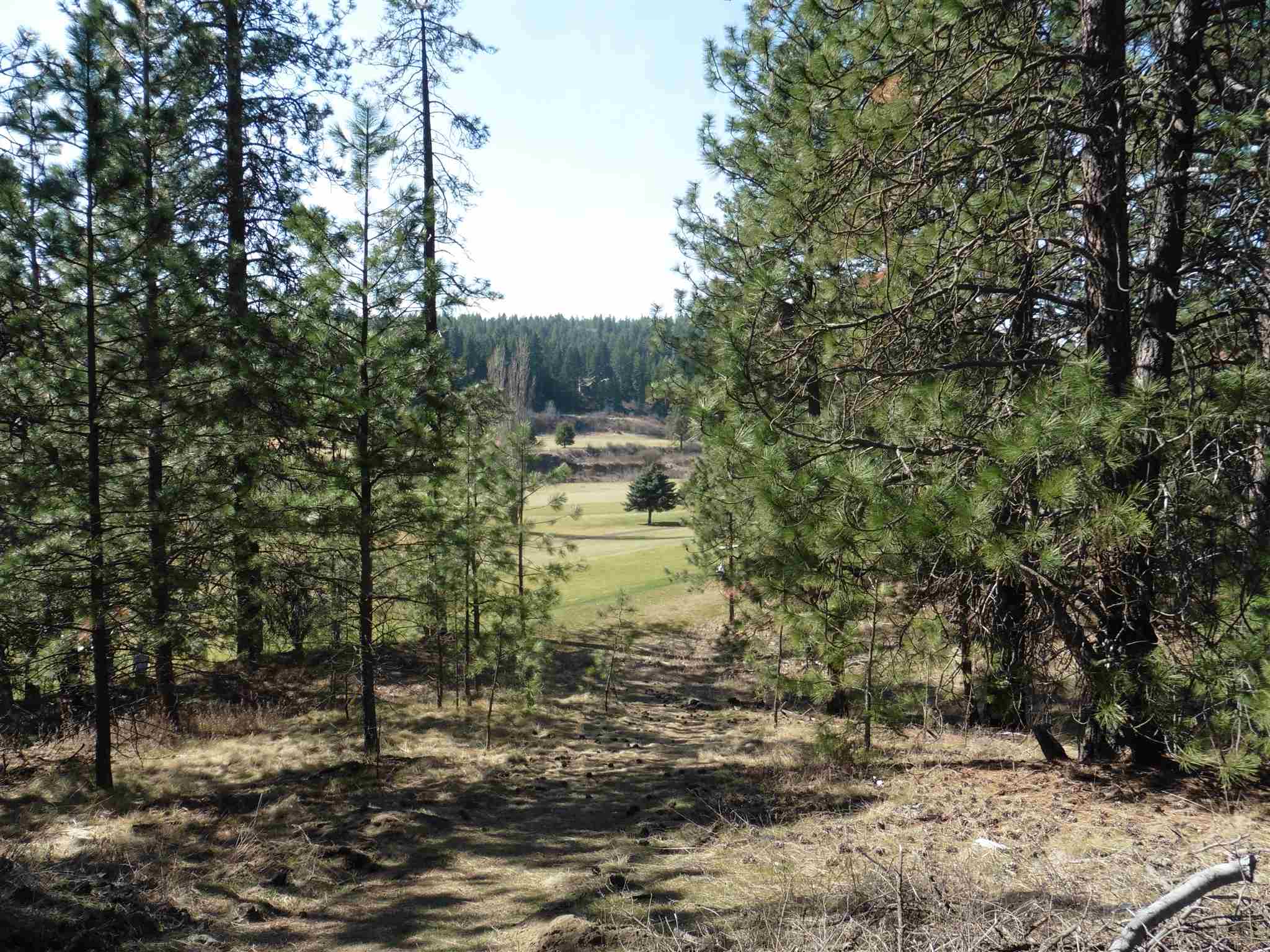 2404 East Hangman Valley Road Spokane, WA 99224 - Photo 1 of 22 Gallery Image 1