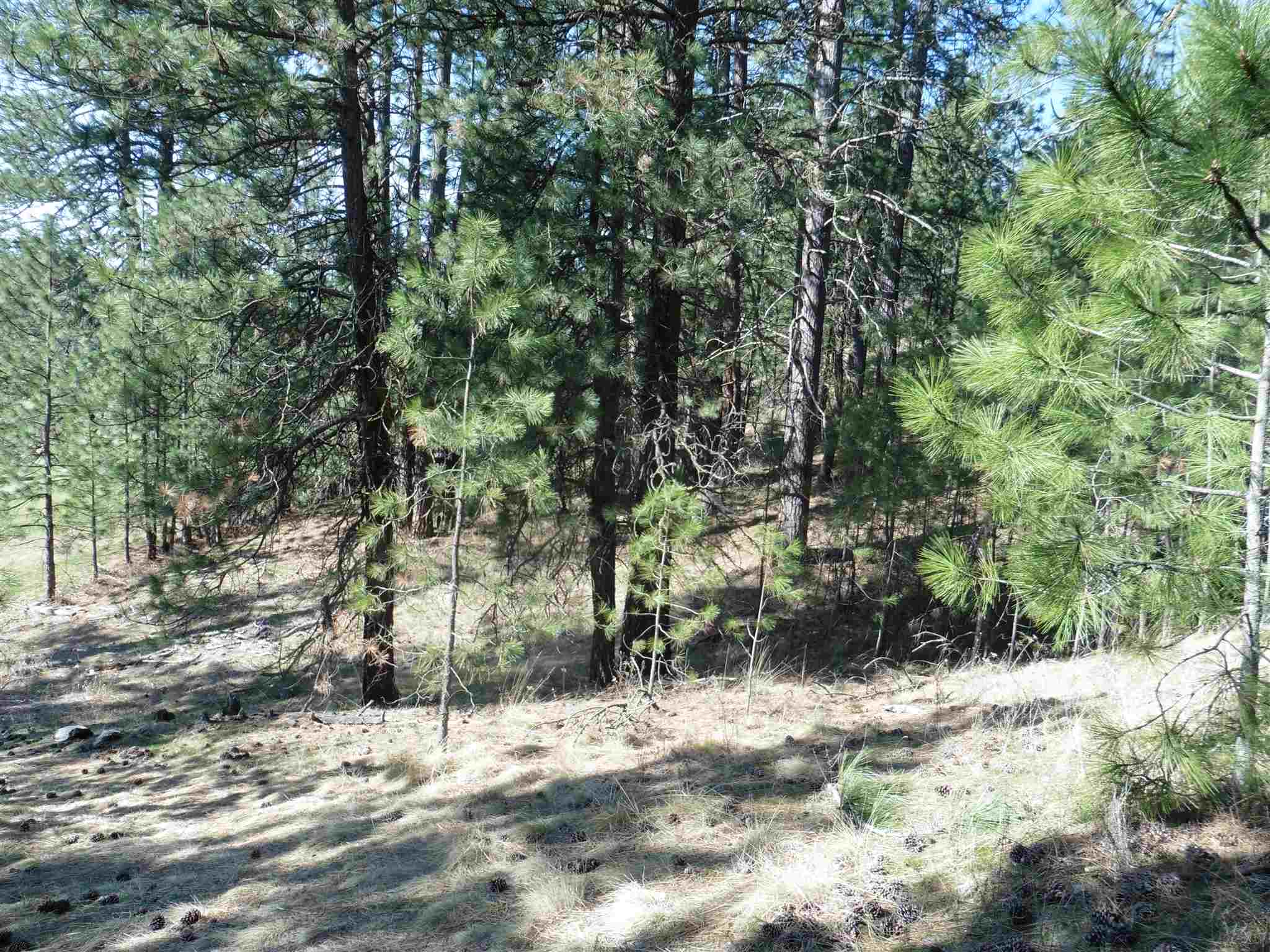 2404 East Hangman Valley Road Spokane, WA 99224 - Photo 2 of 22 Gallery Image 2