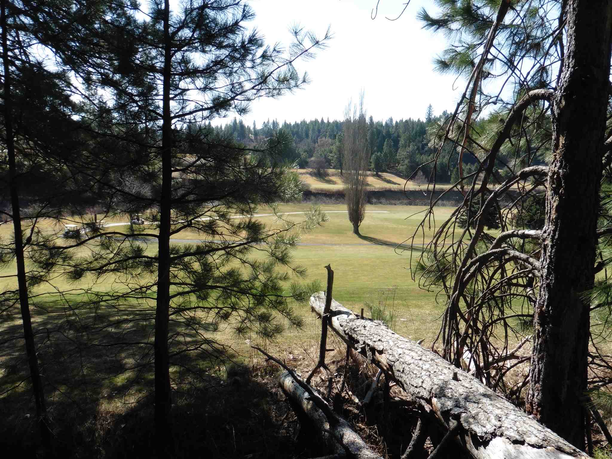 2404 East Hangman Valley Road Spokane, WA 99224 - Photo 11 of 22 Gallery Image 11