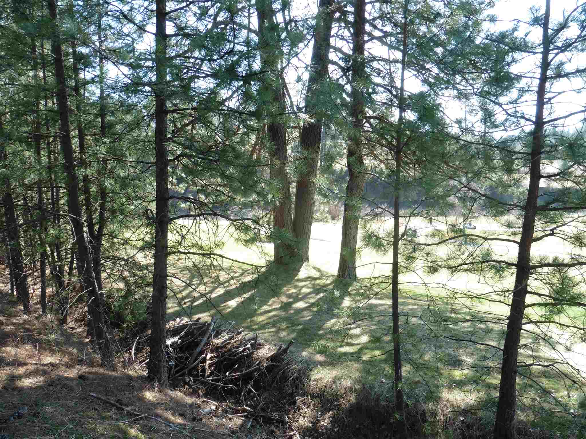 2404 East Hangman Valley Road Spokane, WA 99224 - Photo 12 of 22 Gallery Image 12