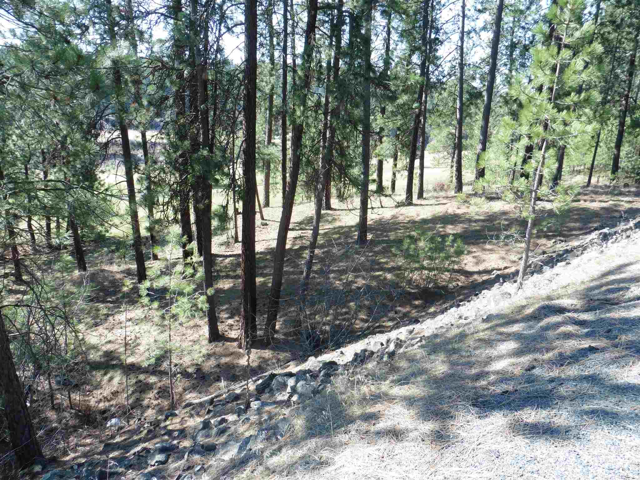 2404 East Hangman Valley Road Spokane, WA 99224 - Photo 13 of 22 Gallery Image 13