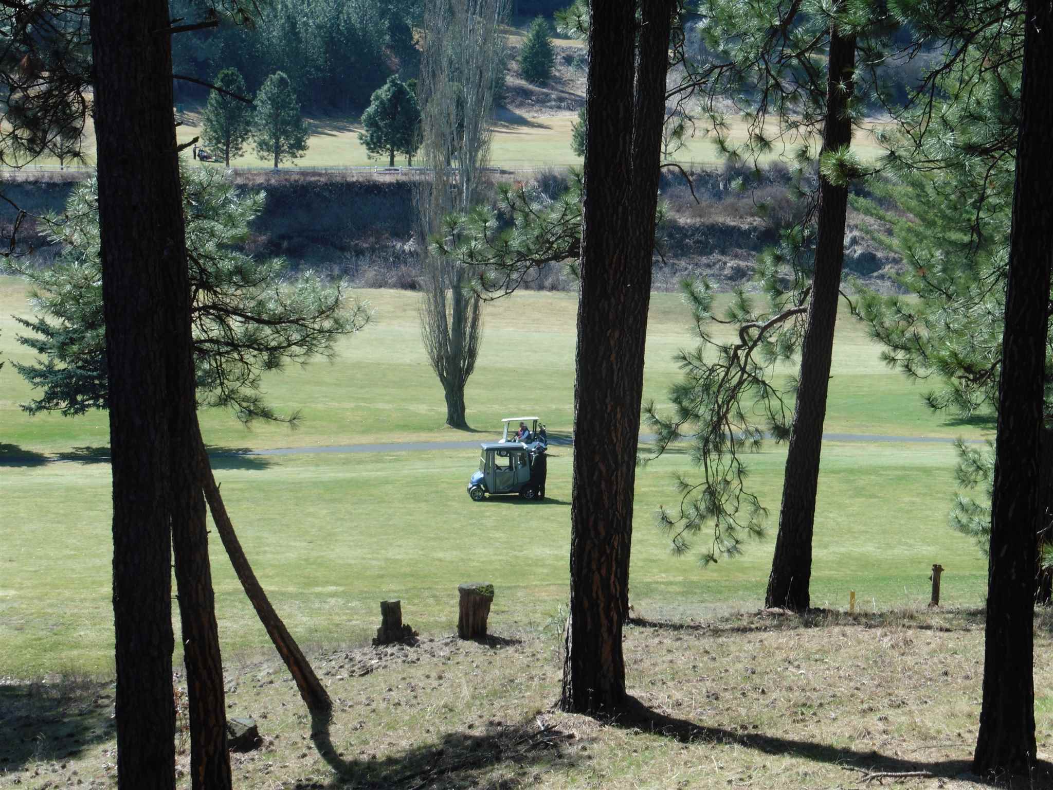 2404 East Hangman Valley Road Spokane, WA 99224 - Photo 14 of 22 Gallery Image 14