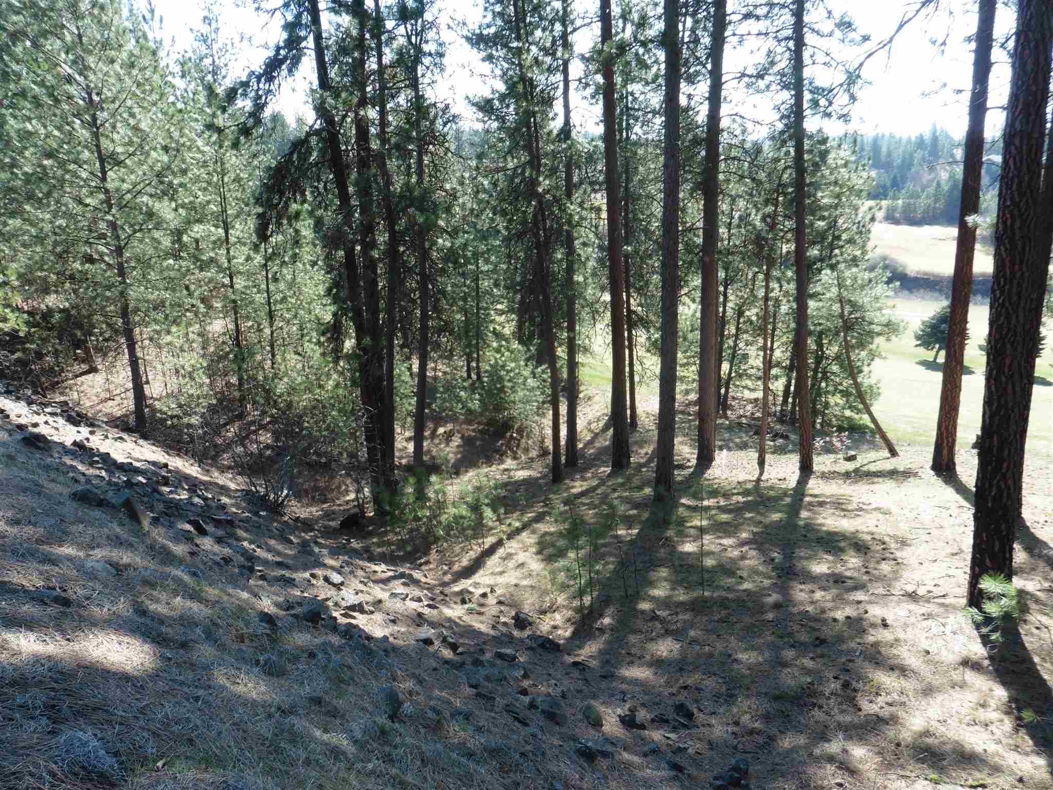 2404 East Hangman Valley Road Spokane, WA 99224 - Photo 15 of 22 Gallery Image 15