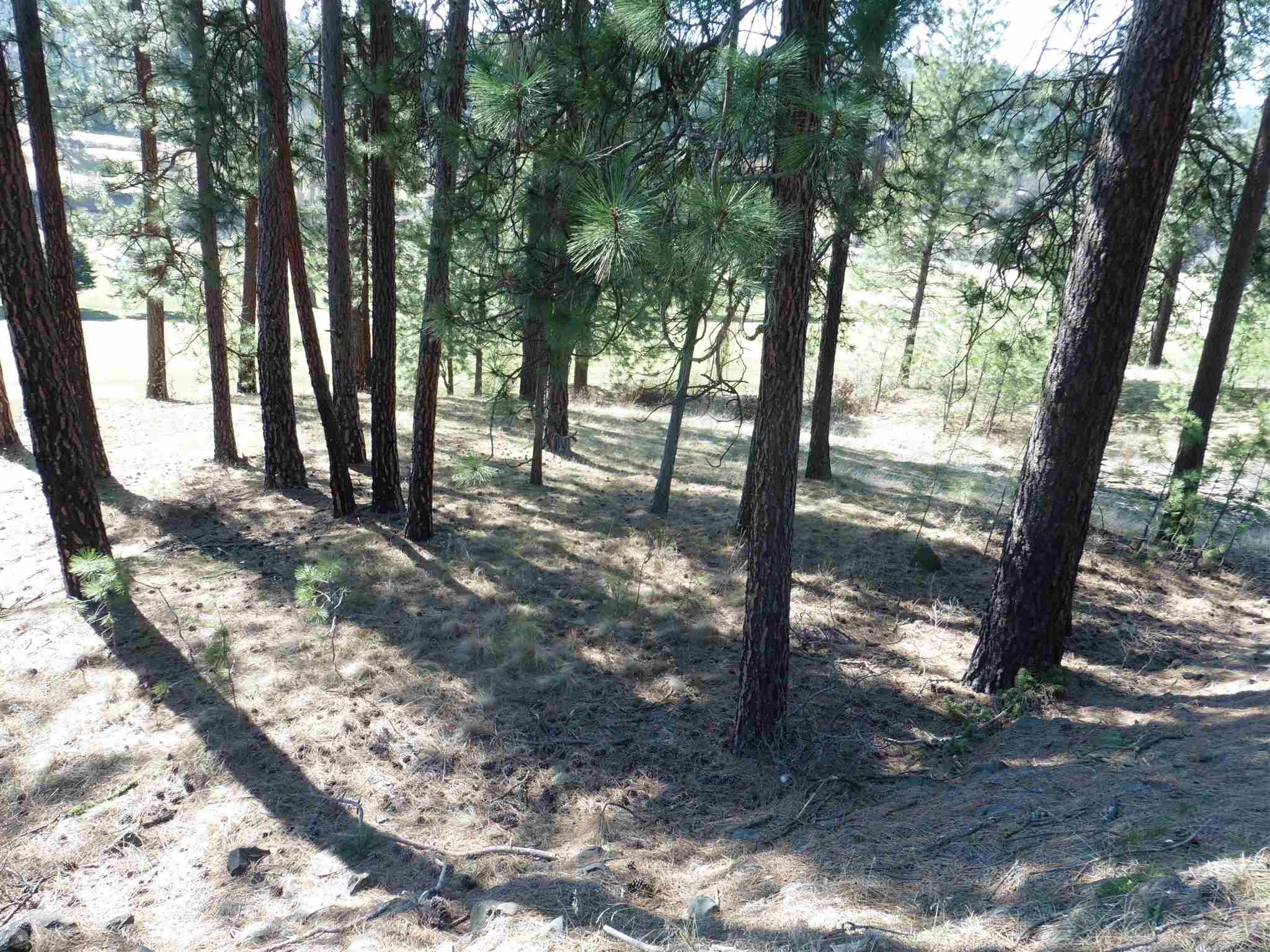 2404 East Hangman Valley Road Spokane, WA 99224 - Photo 16 of 22 Gallery Image 16
