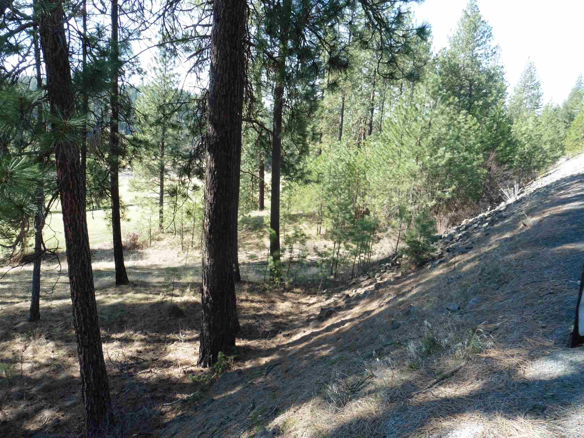 2404 East Hangman Valley Road Spokane, WA 99224 - Photo 17 of 22 Gallery Image 17