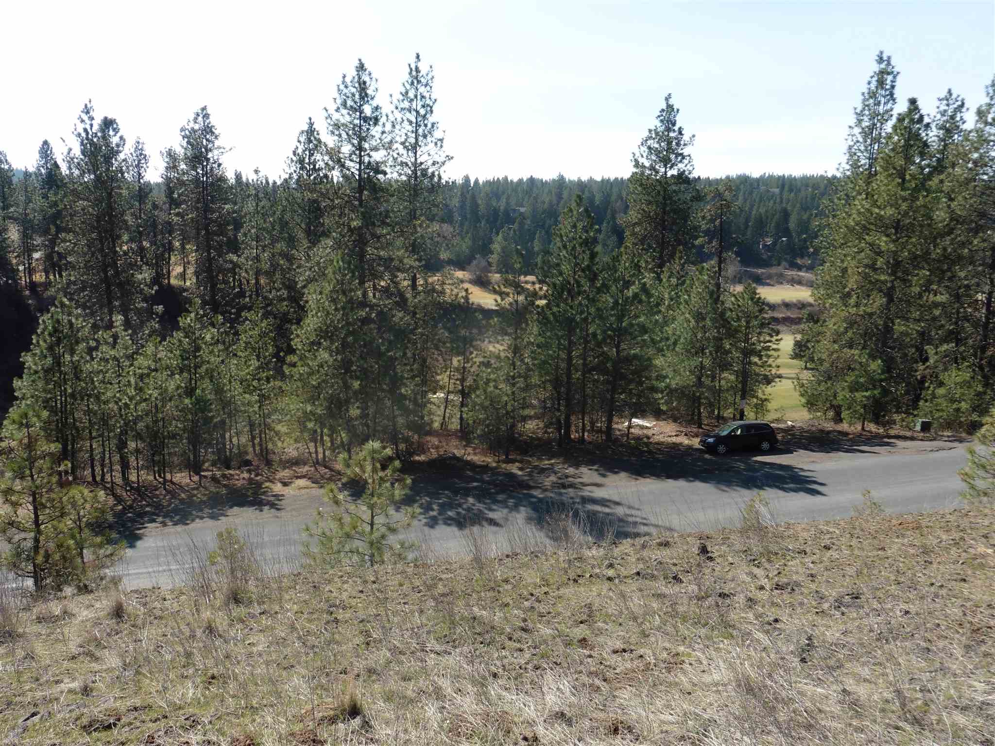2404 East Hangman Valley Road Spokane, WA 99224 - Photo 18 of 22 Gallery Image 18