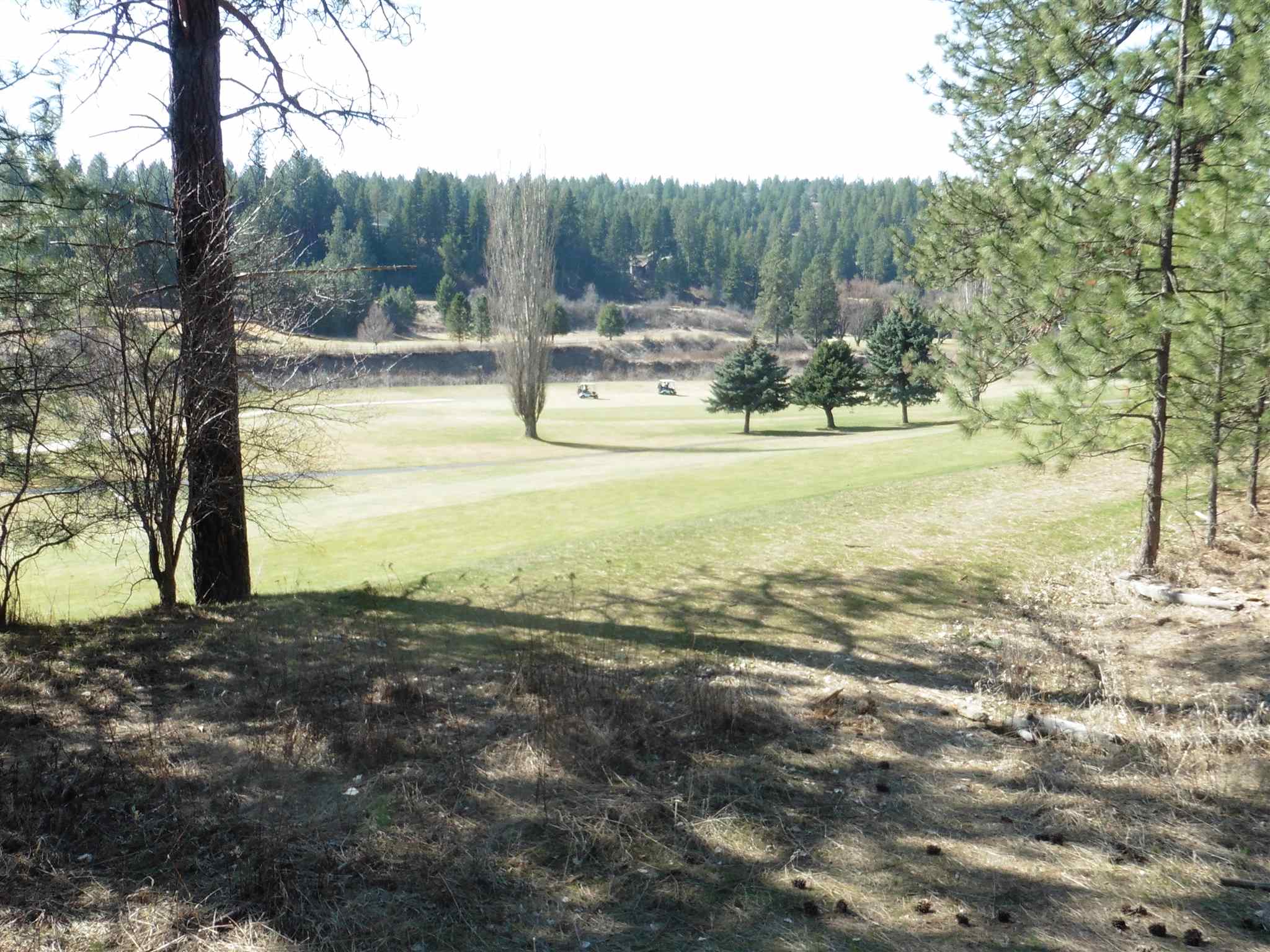 2404 East Hangman Valley Road Spokane, WA 99224 - Photo 3 of 22 Gallery Image 3
