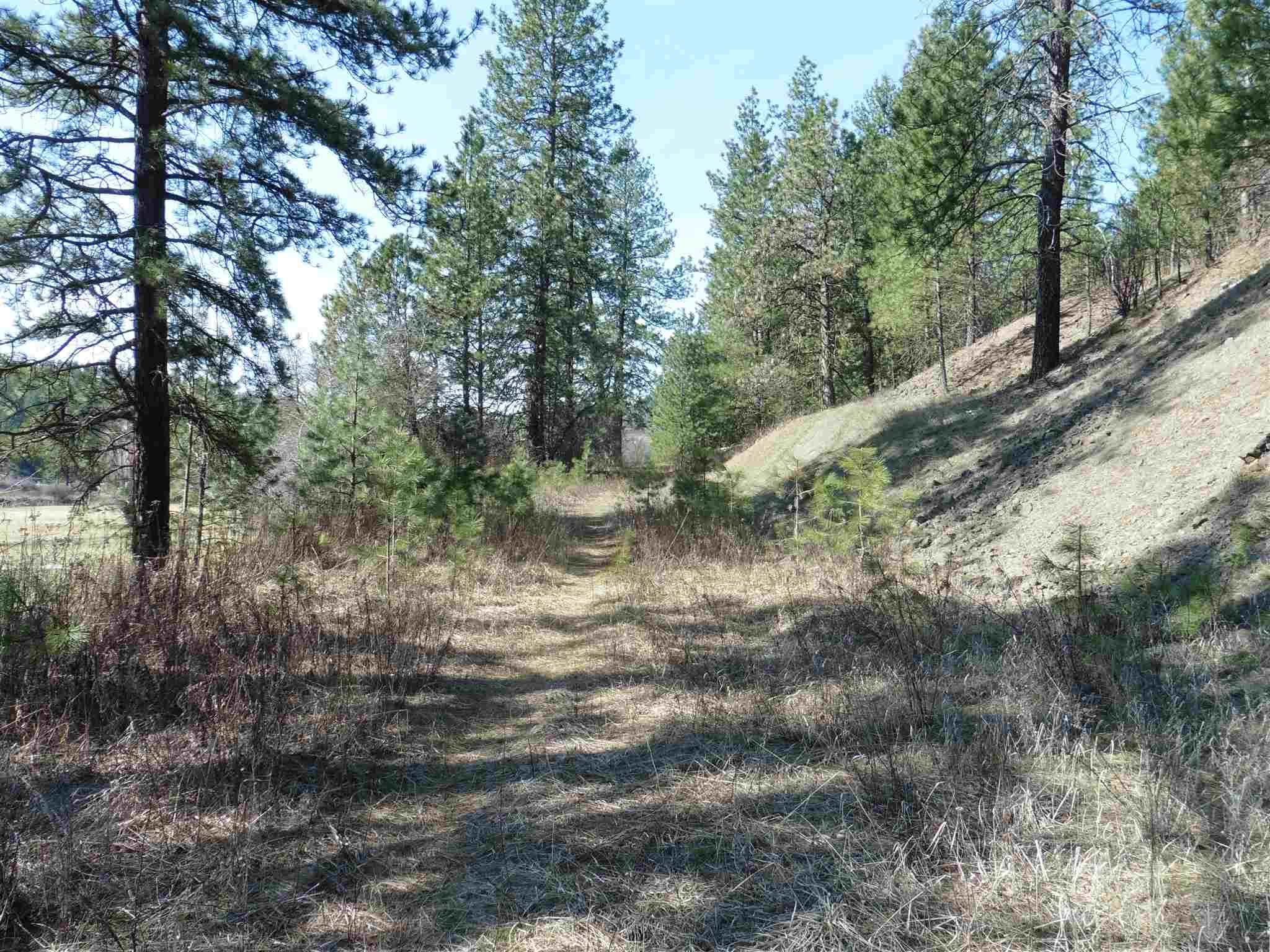 2404 East Hangman Valley Road Spokane, WA 99224 - Photo 22 of 22 Gallery Image 22