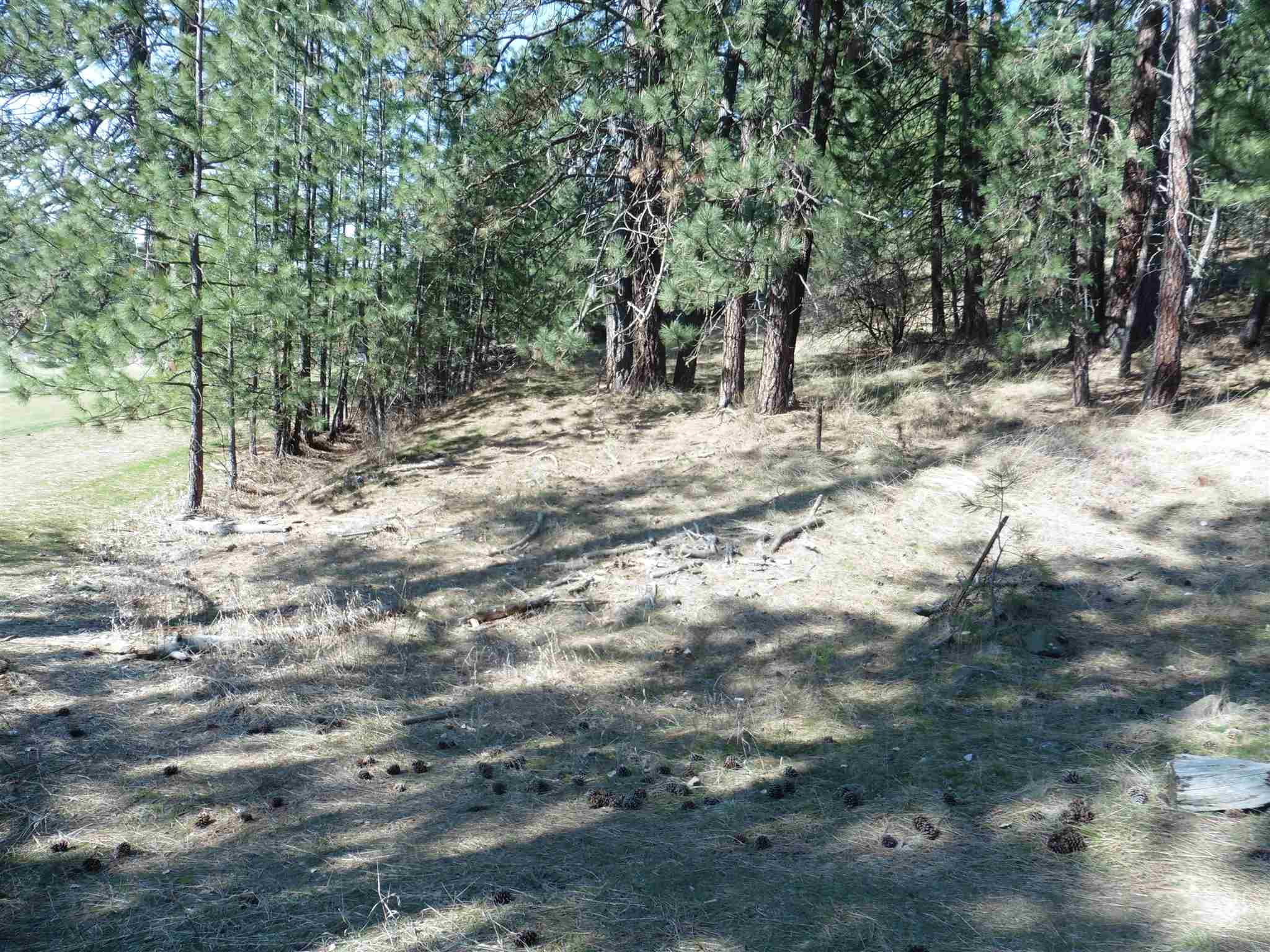 2404 East Hangman Valley Road Spokane, WA 99224 - Photo 4 of 22 Gallery Image 4