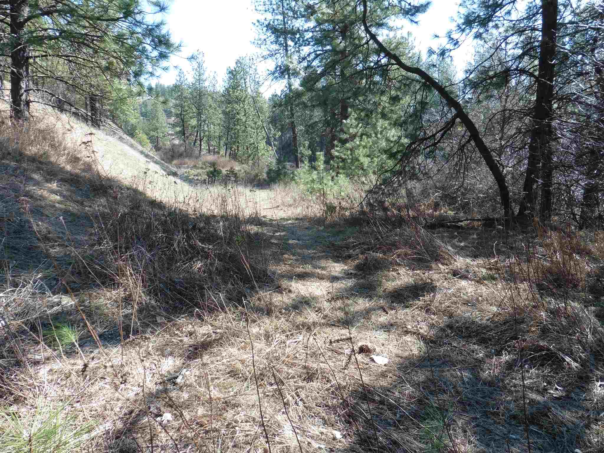 2404 East Hangman Valley Road Spokane, WA 99224 - Photo 5 of 22 Gallery Image 5