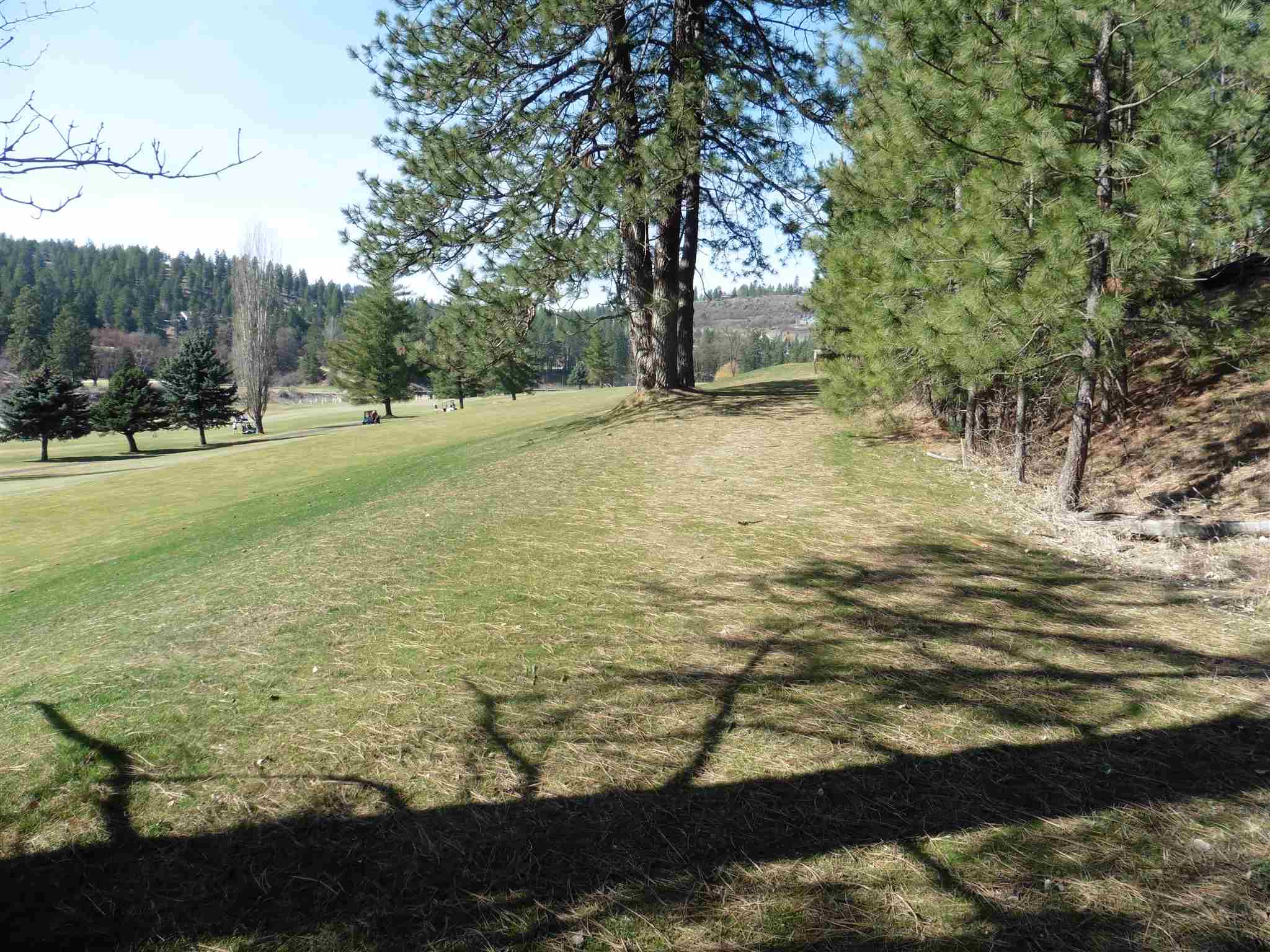 2404 East Hangman Valley Road Spokane, WA 99224 - Photo 6 of 22 Gallery Image 6