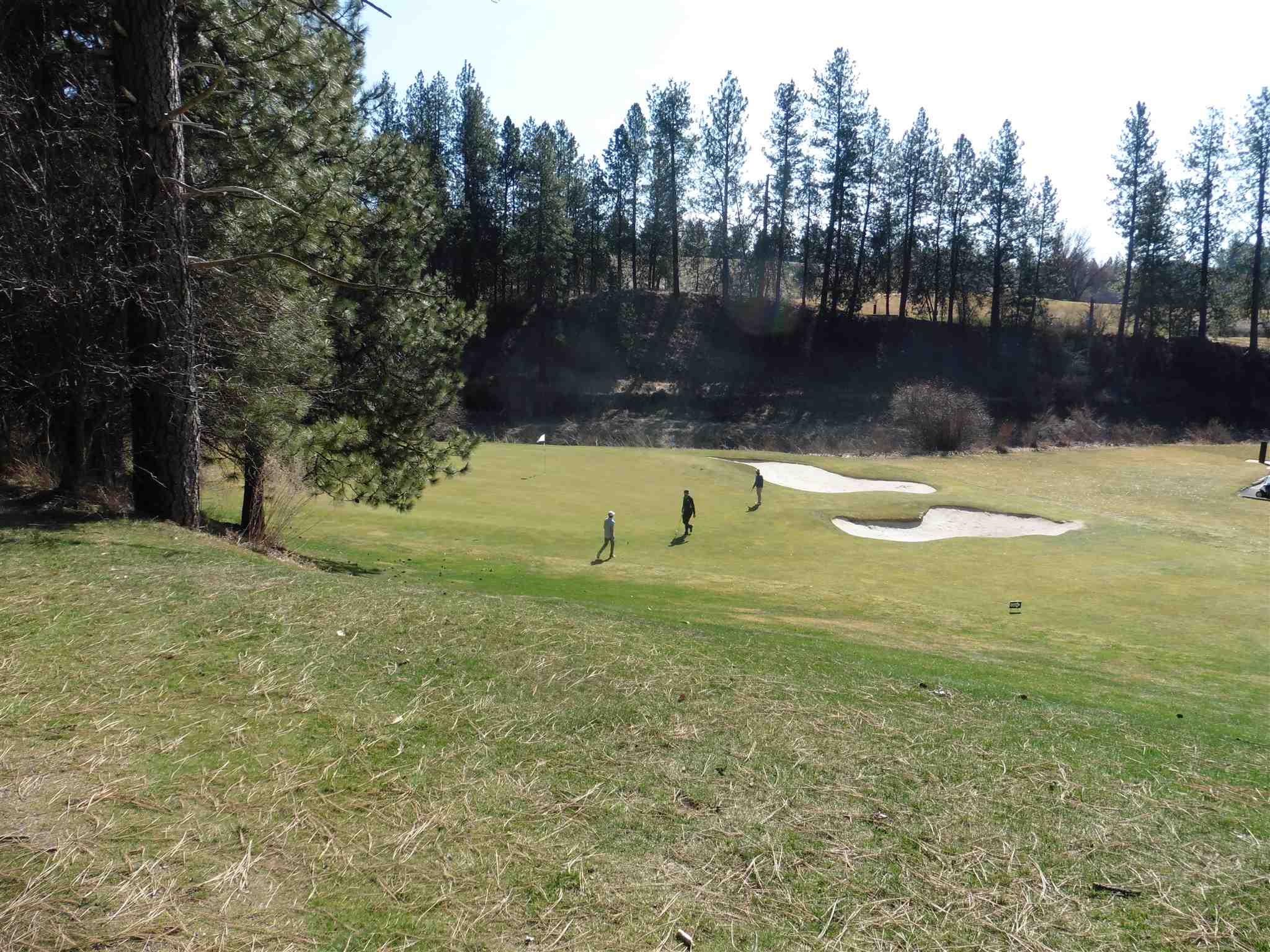 2404 East Hangman Valley Road Spokane, WA 99224 - Photo 7 of 22 Gallery Image 7