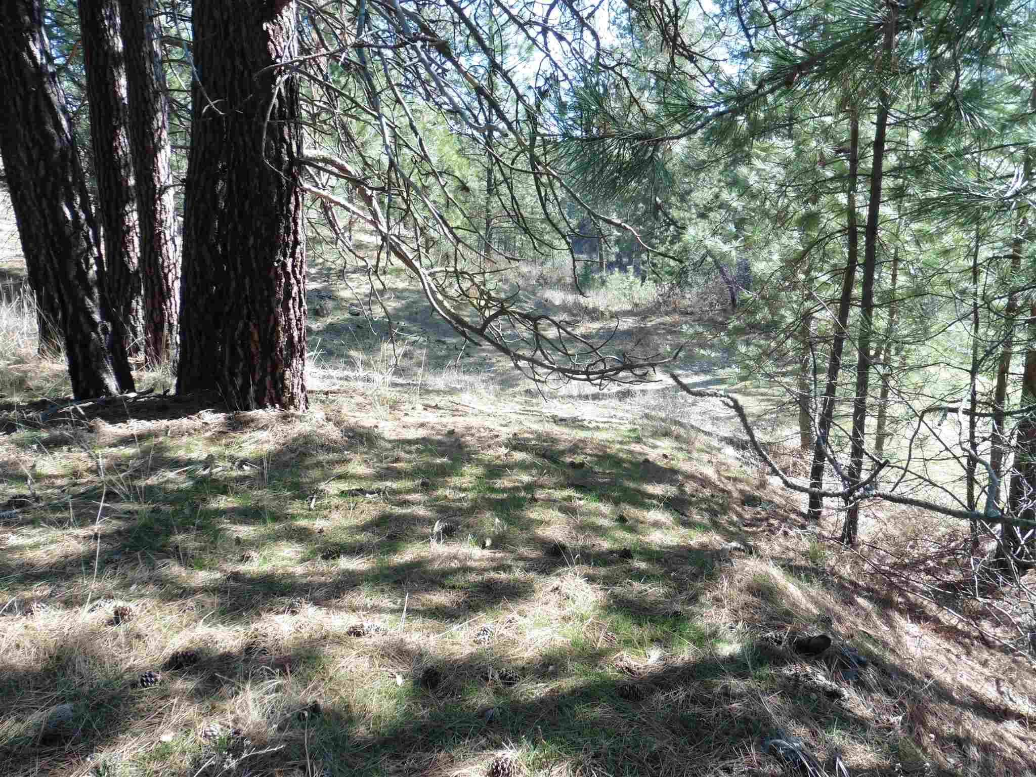 2404 East Hangman Valley Road Spokane, WA 99224 - Photo 8 of 22 Gallery Image 8
